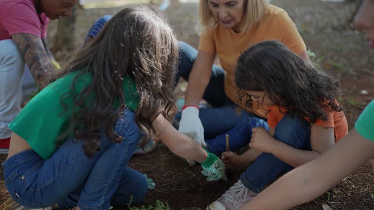 Trusted Newellton, LA Tree Care Services Experts